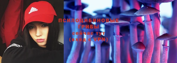 МДПВ Нея
