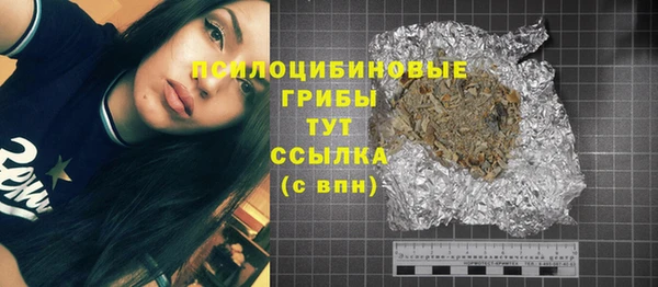 МДПВ Нея