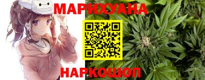 дмт Бийск