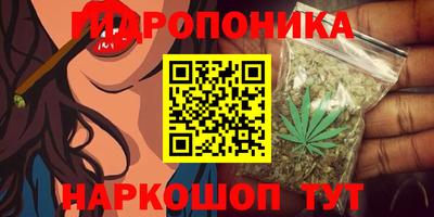 дмт Бийск