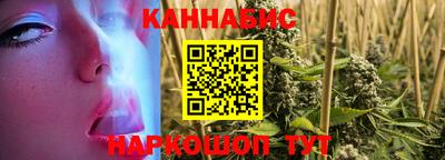 дмт Бийск