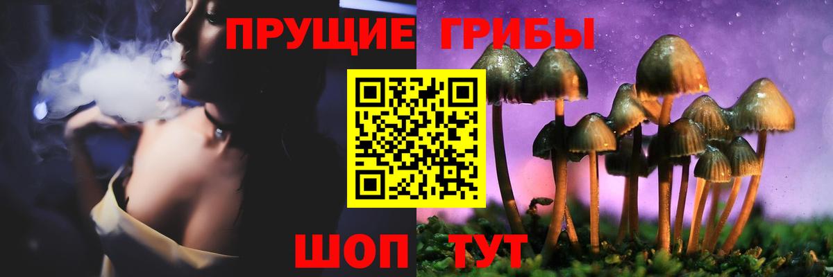 Псилоцибиновые грибы MAGIC MUSHROOMS Полевской