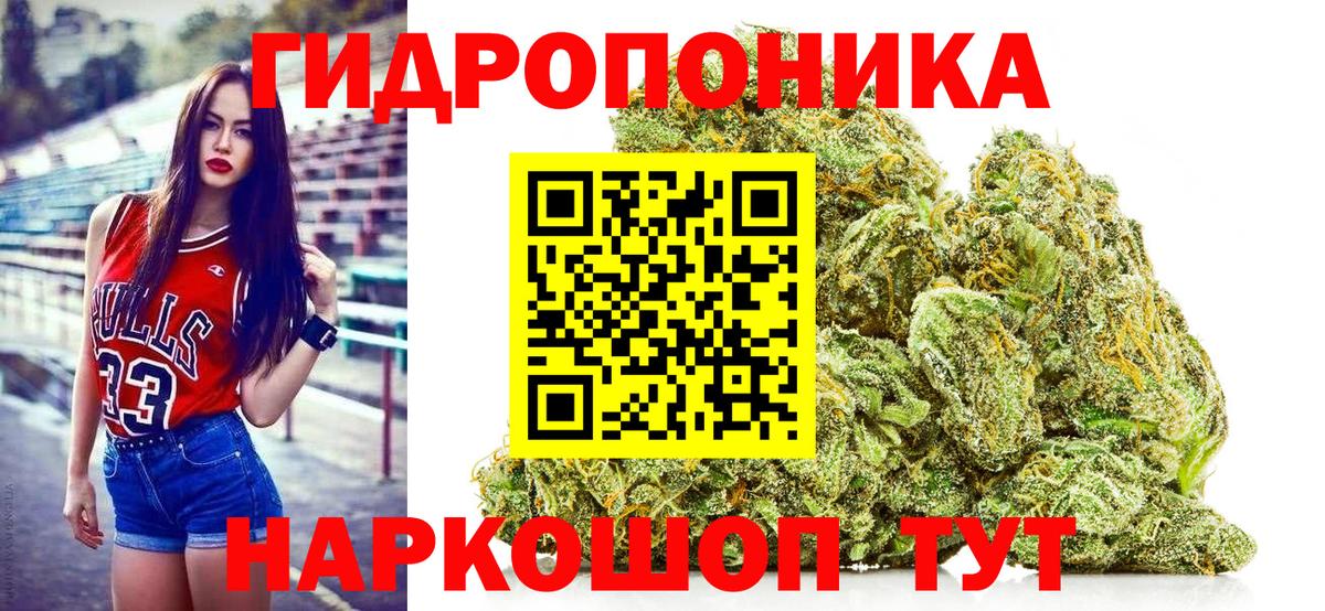 Шишки марихуана план  Марихуана AK-47  Полевской  Вход с VPN 